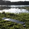 236363/3361772_2aef1e9028e4.jpg