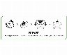 236633/3343474_ef66637b7071.jpg
