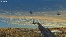 238533/3348516_10085fb6de1b.jpg